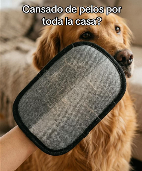 EL GUANTE QUITA PELOS DE VIRAL TIKTOK!🐶🐱✨